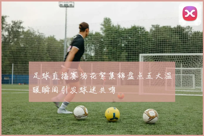 足球直播赛场花絮集锦盘点五大温暖瞬间引发球迷共鸣