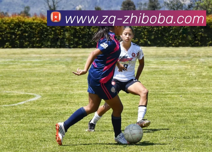 直播吧品牌故事